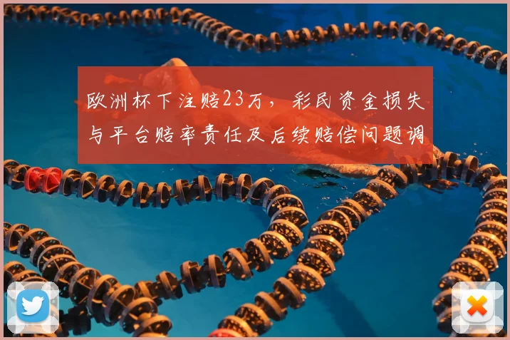 欧洲杯下注赔23万，彩民资金损失与平台赔率责任及后续赔偿问题调查