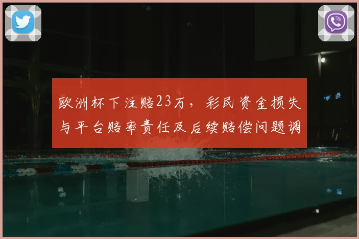 欧洲杯下注赔23万，彩民资金损失与平台赔率责任及后续赔偿问题调查