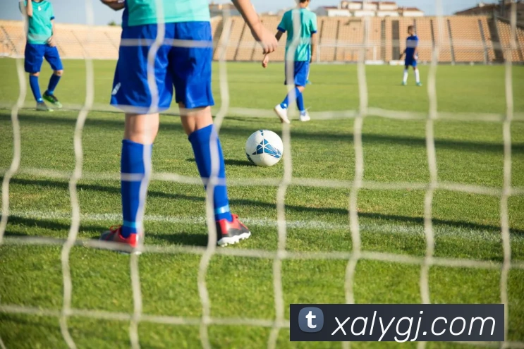 新爱体育官网发展历程